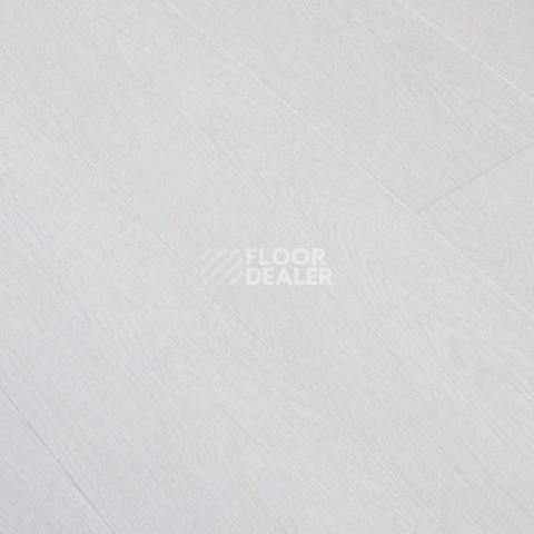 Ламинат Clix Floor Intense CXI145 Дуб Платиновый фото 1 | FLOORDEALER